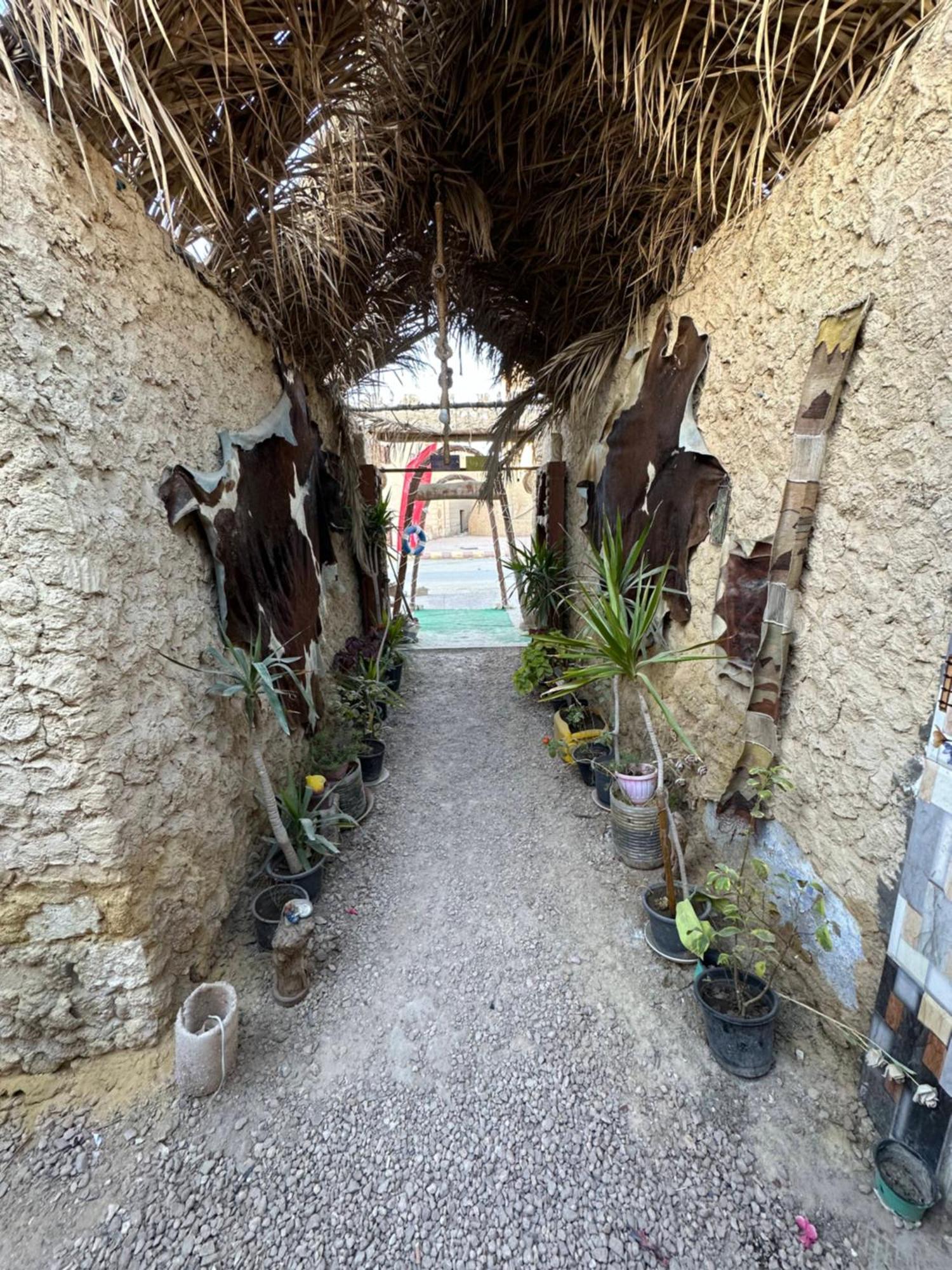 Muhra Camp Siwa Siwa Oasis