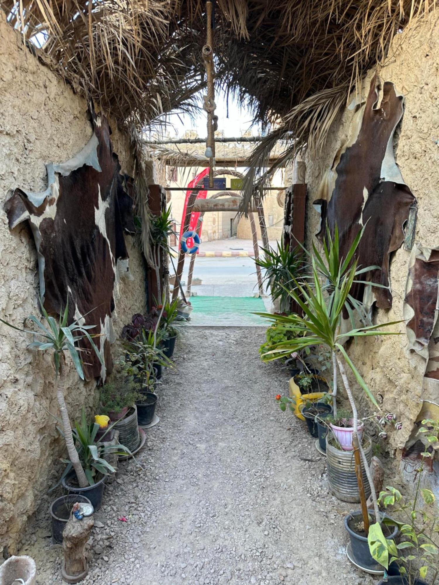 Muhra Camp Siwa Campingplatz